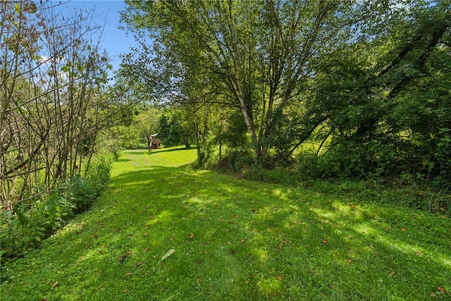 409 Valencia Rd, Adams Twp, PA 16046 - photo 27