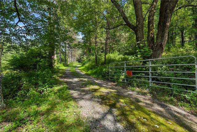 409 Valencia Rd, Adams Twp, PA 16046 - photo 4