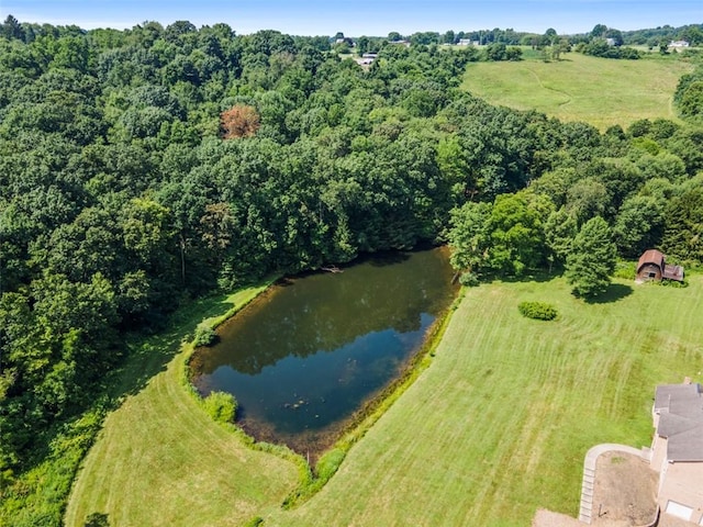 134 Pfeifer Rd, Lancaster Twp, PA 16037 - photo 5