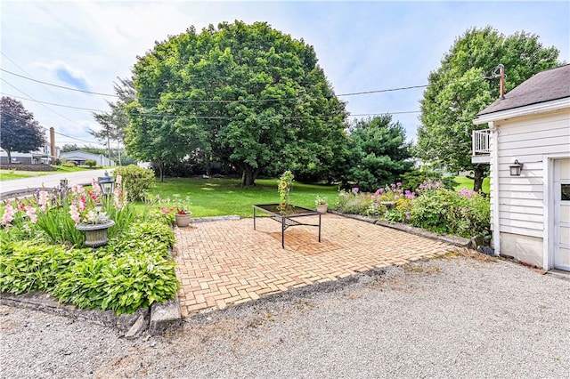111 Razza Rd, Derry Twp, PA 15671 - photo 9