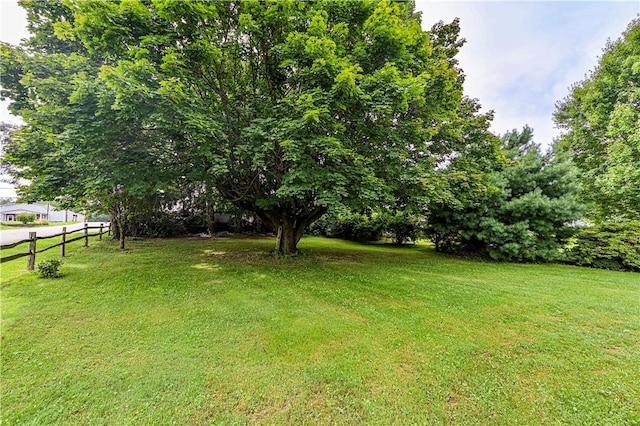 111 Razza Rd, Derry Twp, PA 15671 - photo 10
