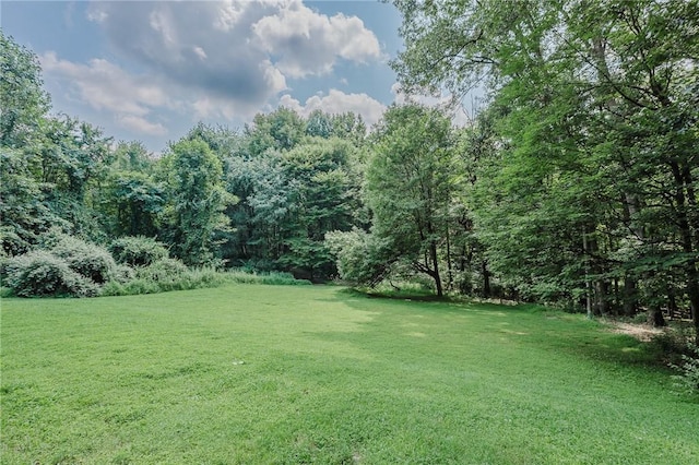96 Mchenry Rd, White Twp, PA 15701 - photo 25