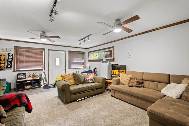 190 Delaware Trl, Peters Twp, PA 15367 - photo 34
