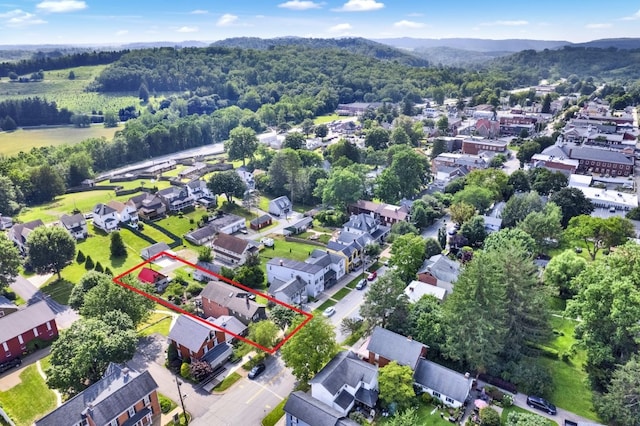 237 E Main St, Ligonier Boro, PA 15658 - photo 45