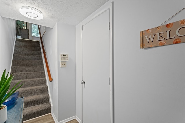 141 Rossmor Ct, Ross Twp, PA 15229 - photo 35