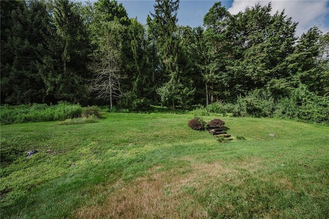 210 Church Ave, White Twp, PA 15701 - photo 27