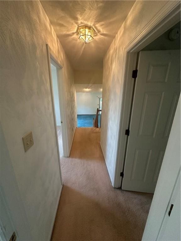 1305 Sherman St, Cheswick, PA 15024 - photo 35