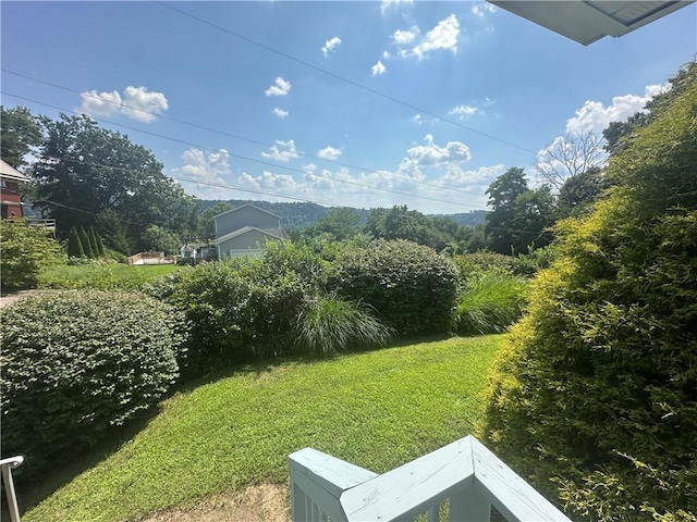 1305 Sherman St, Cheswick, PA 15024 - photo 11