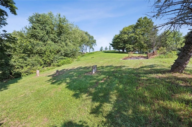 126 Heck Rd, Buffalo Twp, PA 16055 - photo 29