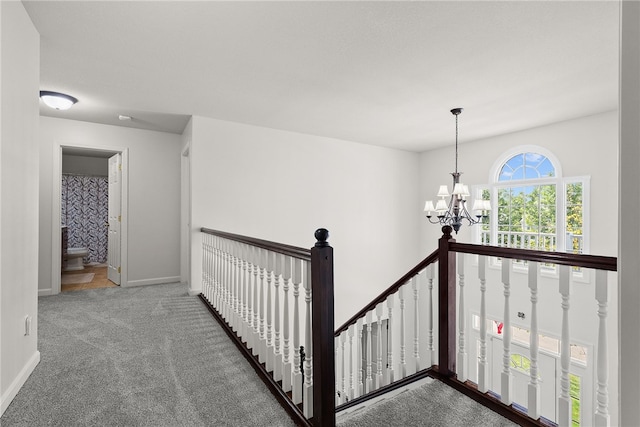 308 Walnut Dr, Peters Twp, PA 15367 - photo 24