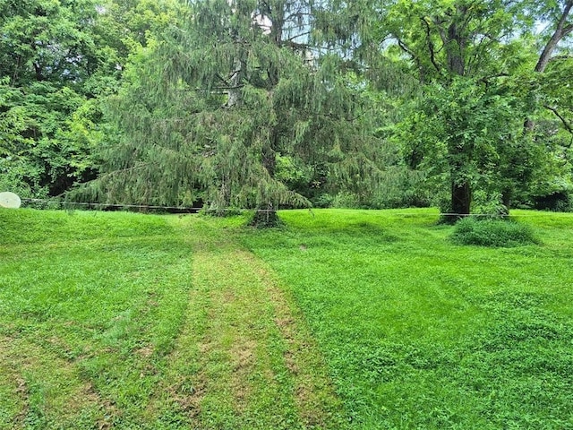 2050 River Hill Rd, Forward Twp, PA 15063 - photo 3