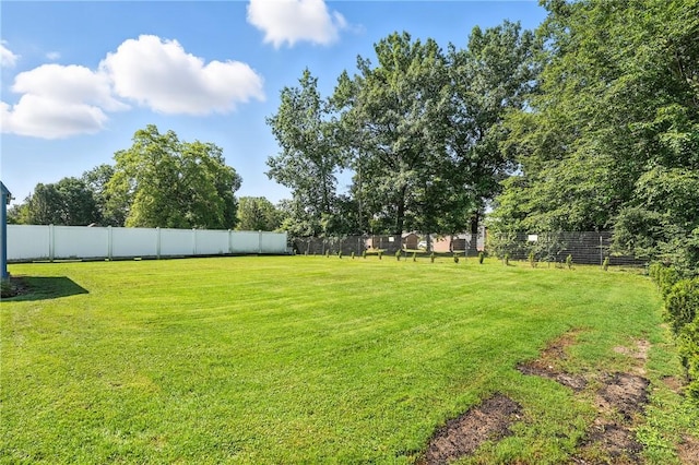 1106 Arlington Dr, Pymatuning Twp, PA 16125 - photo 18