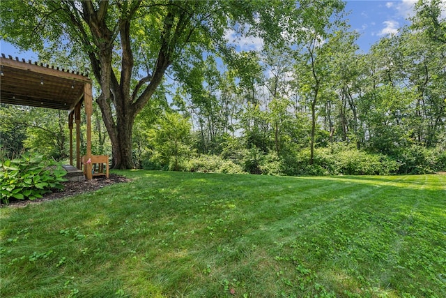 102 Carlsbad Ct, Unity Twp, PA 15650 - photo 38