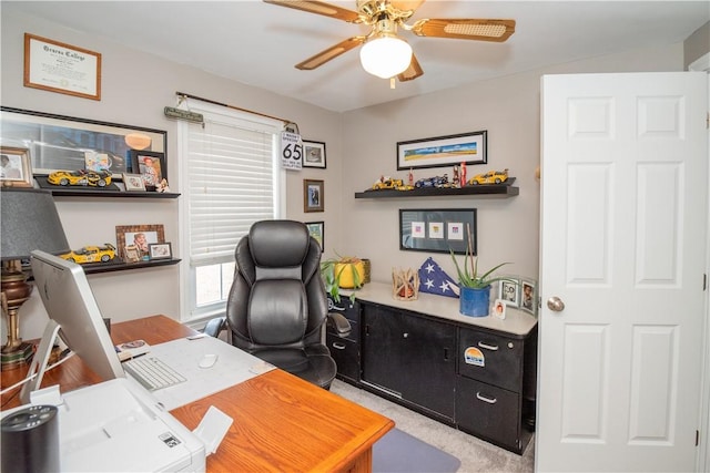 519 Mount Vernon Dr, Ellwood City, PA 16117 - photo 20