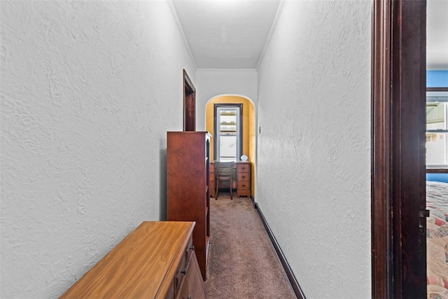 306 Hutchinson Ave, Canonsburg, PA 15317 - photo 29