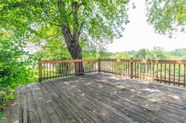 1137 State Route 885, Jefferson Hills, PA 15025 - photo 31