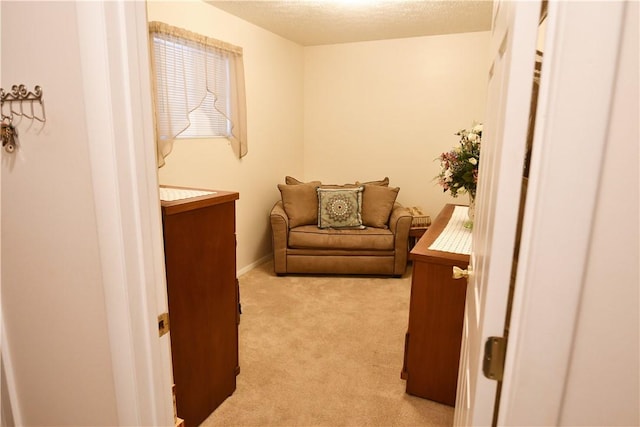 320 Sims St Unit A4, Ellwood City, PA 16117 - photo 12