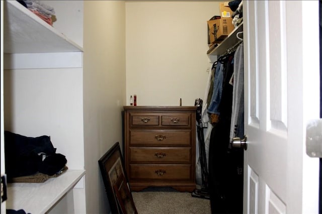 157 E College St, Canonsburg, PA 15317 - photo 10
