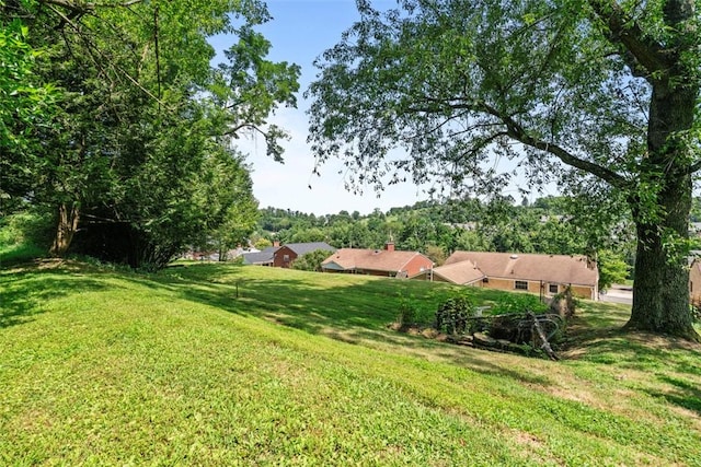 635 Alpine Dr, Canonsburg, PA 15317 - photo 35