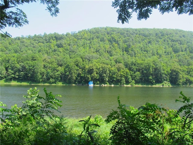 719 Hillville Rd, Perry Twp, PA 16041 - photo 21