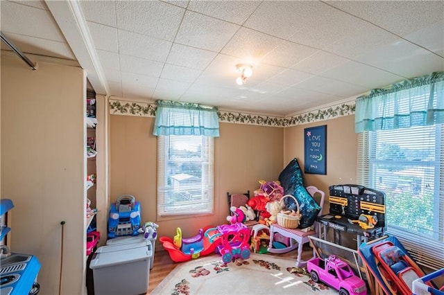 recreation room with a drop ceiling and hardwood / wood-style floors