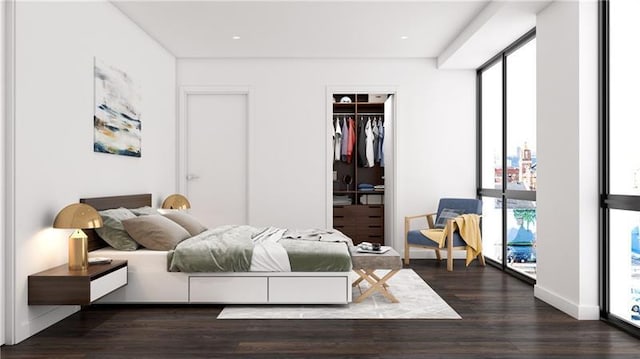 bedroom with dark hardwood / wood-style flooring and a spacious closet