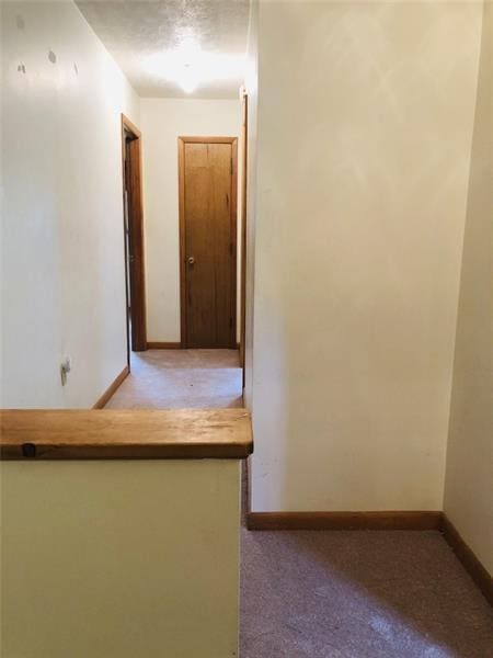 hallway with light colored carpet