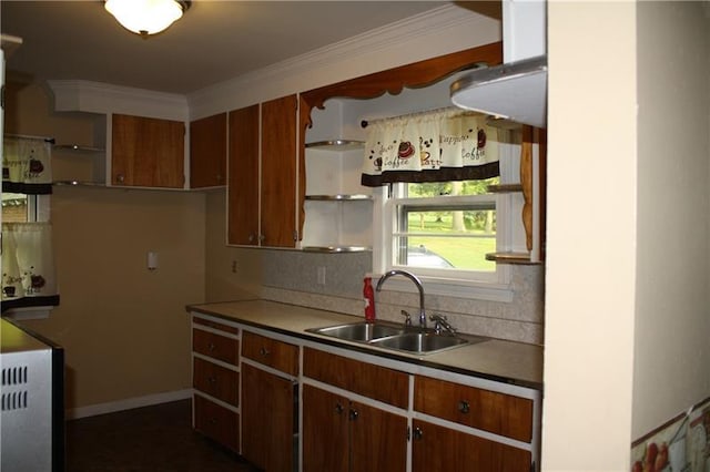 kitchen featuring backsplash, ornamental molding, and sink