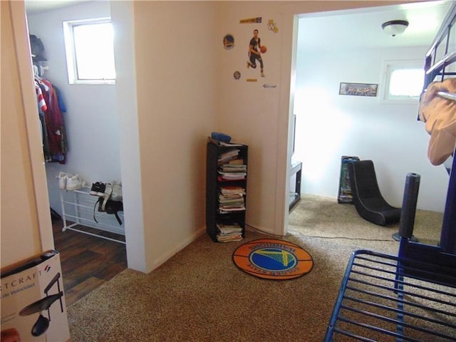 interior space featuring multiple windows and dark wood-type flooring