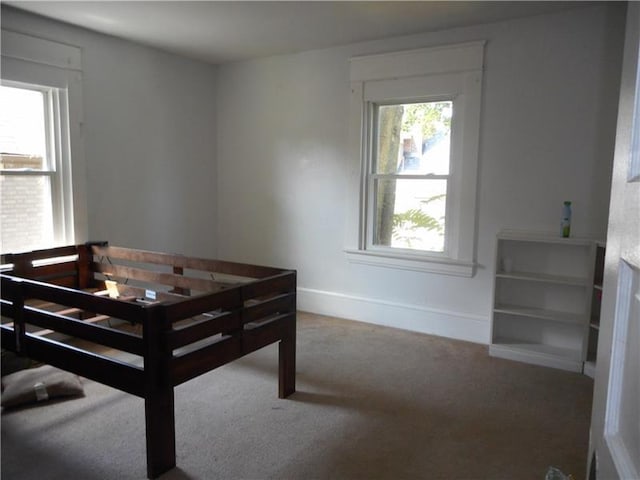 bedroom featuring carpet floors