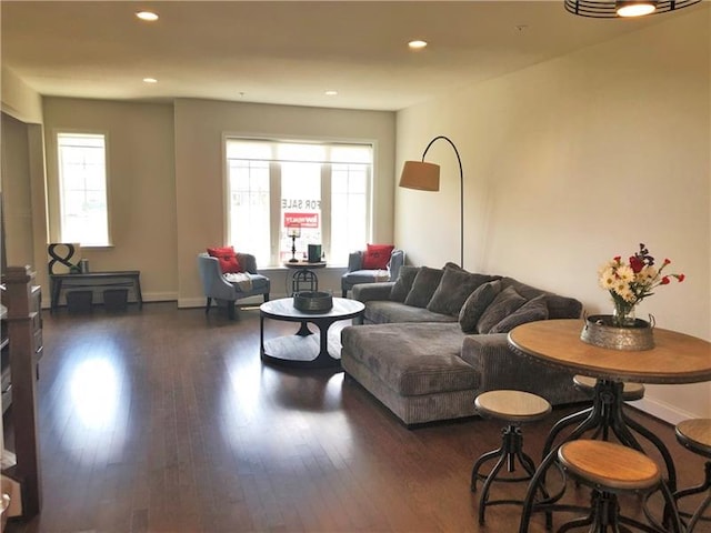 living room with dark hardwood / wood-style flooring