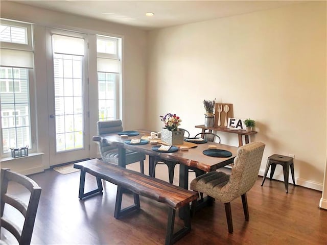 dining room with dark hardwood / wood-style floors