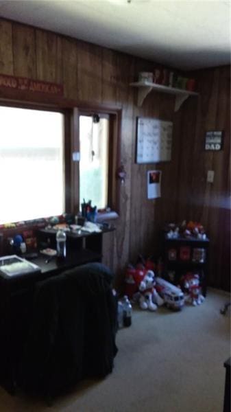 living room featuring wooden walls