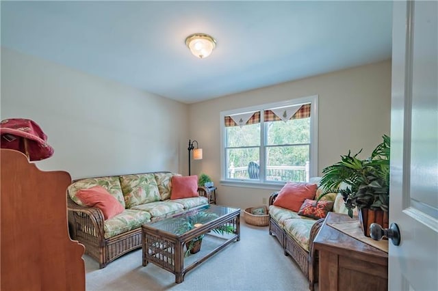 living room with light carpet