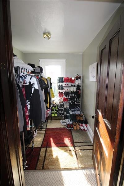 view of spacious closet