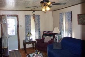 living room with ceiling fan and dark hardwood / wood-style floors