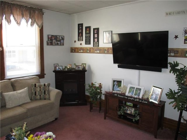 living room with dark colored carpet