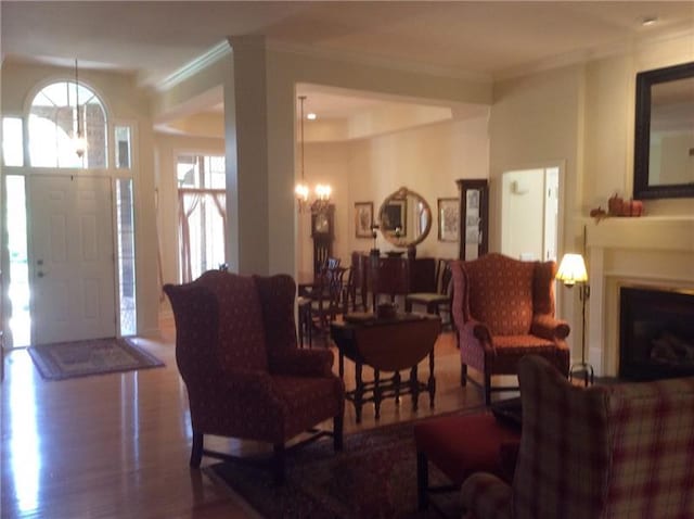 living room featuring dark hardwood / wood-style flooring and a chandelier