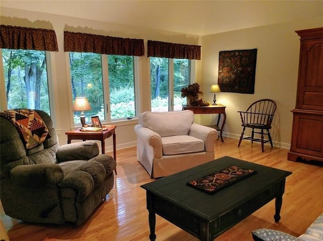 living room with light hardwood / wood-style floors