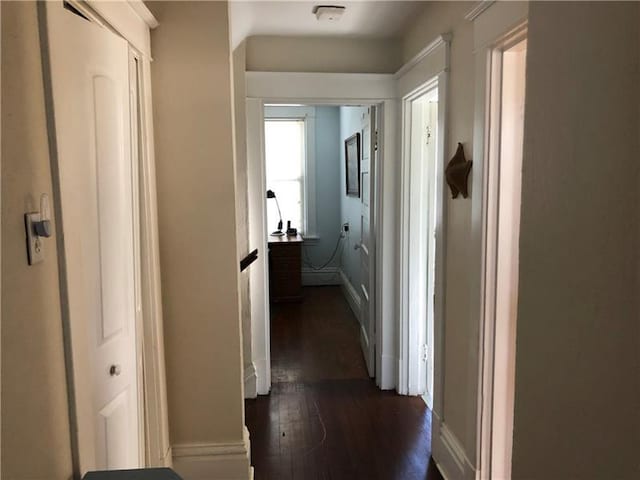 hallway featuring dark wood-type flooring