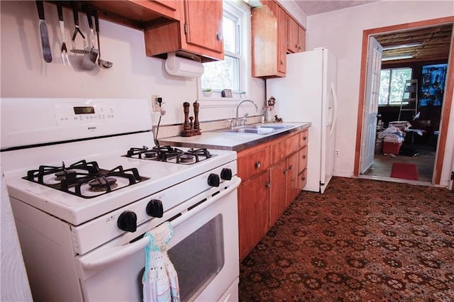 kitchen featuring plenty of natural light, white appliances, and sink