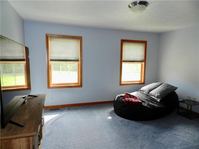 bedroom with carpet floors and multiple windows