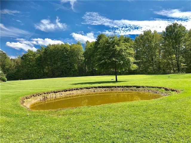 view of nearby features featuring a water view and a yard