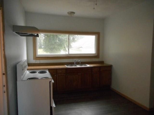 kitchen featuring dark hardwood / wood-style floors, white range with electric cooktop, a healthy amount of sunlight, and sink