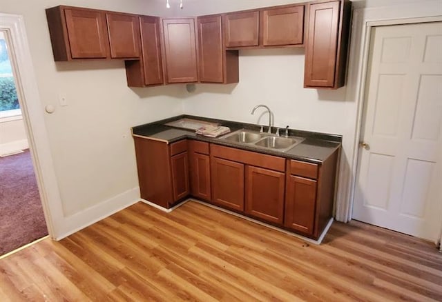 kitchen featuring light carpet and sink