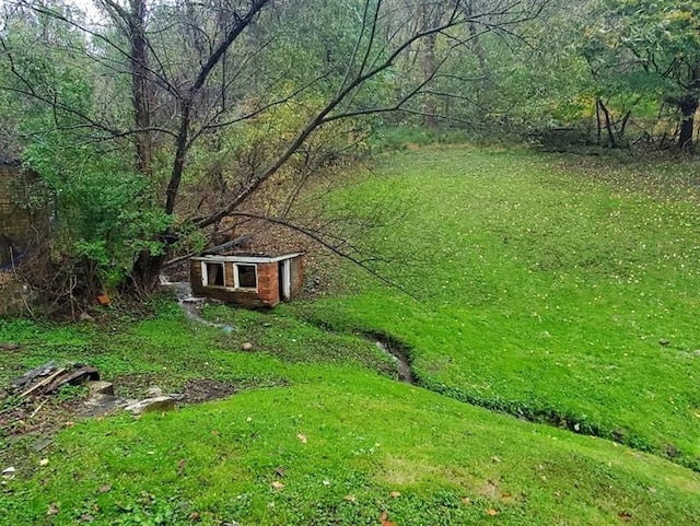 view of yard featuring an outdoor structure