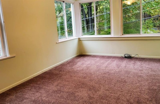 spare room with plenty of natural light and carpet flooring