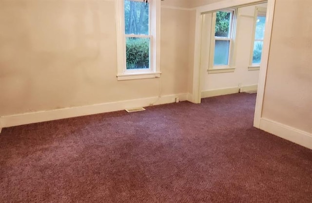 carpeted empty room featuring a wealth of natural light