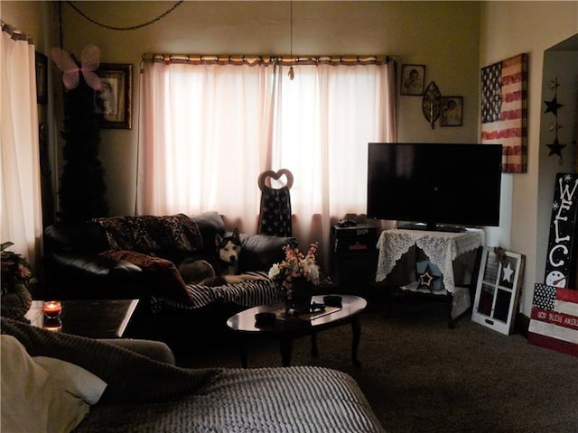 view of carpeted living room