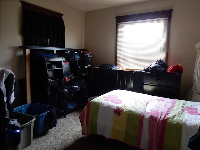 bedroom with carpet flooring